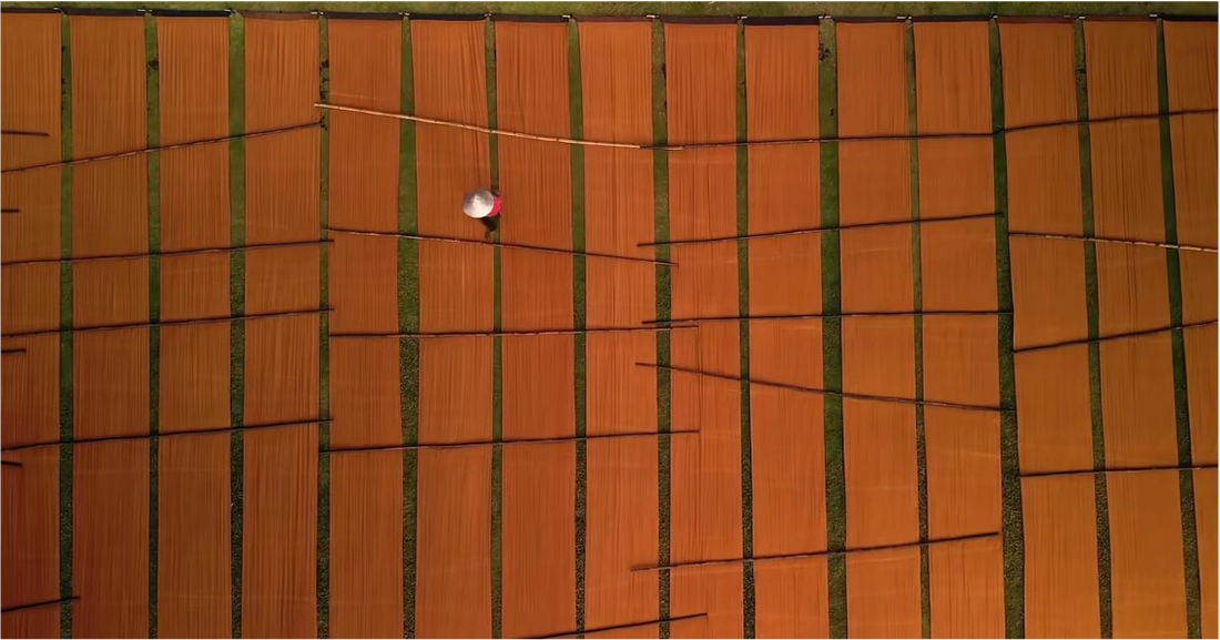 The alchemy of Amber Silk