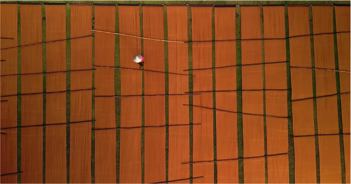 The alchemy of Amber Silk