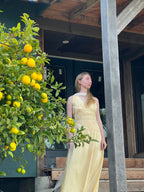 Afloat Silk Organza Dress