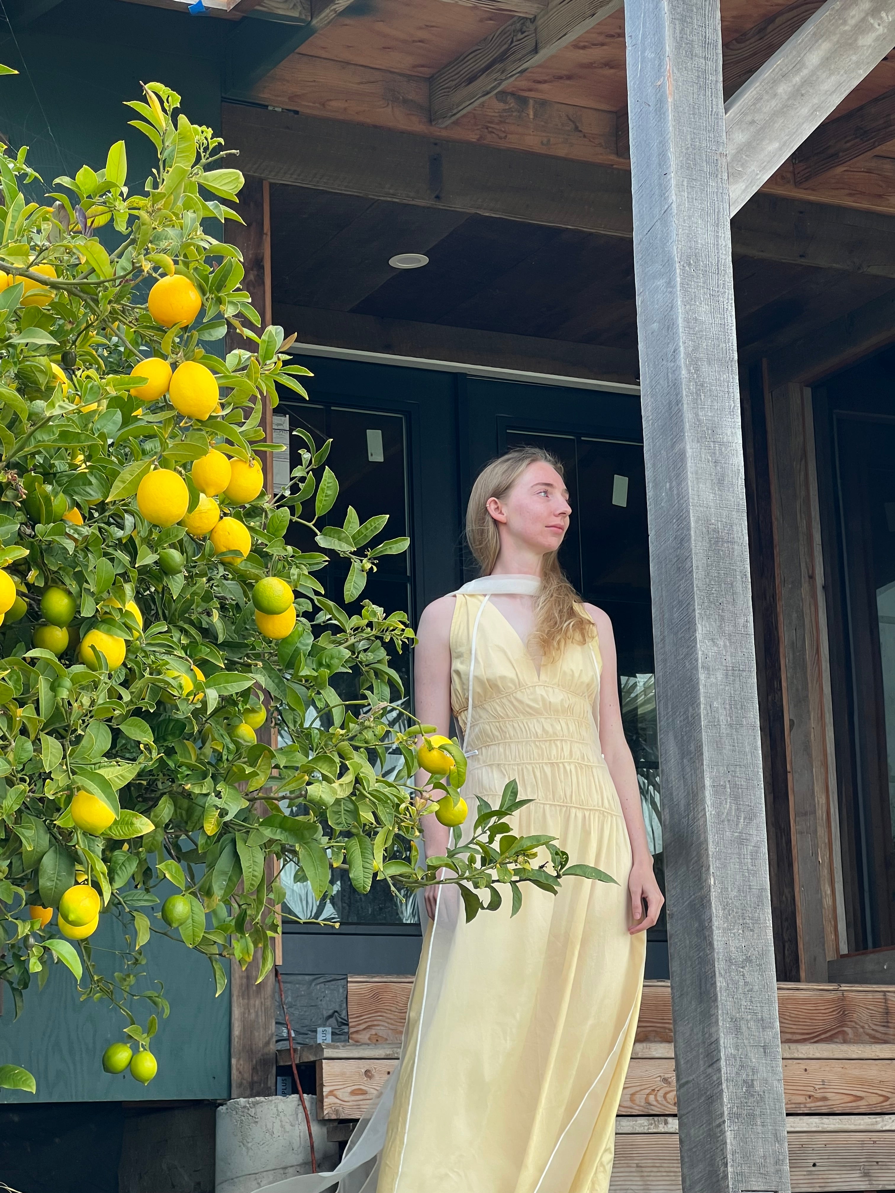 Afloat Silk Organza Dress