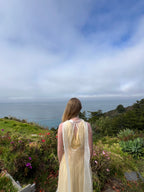 Afloat Silk Organza Dress