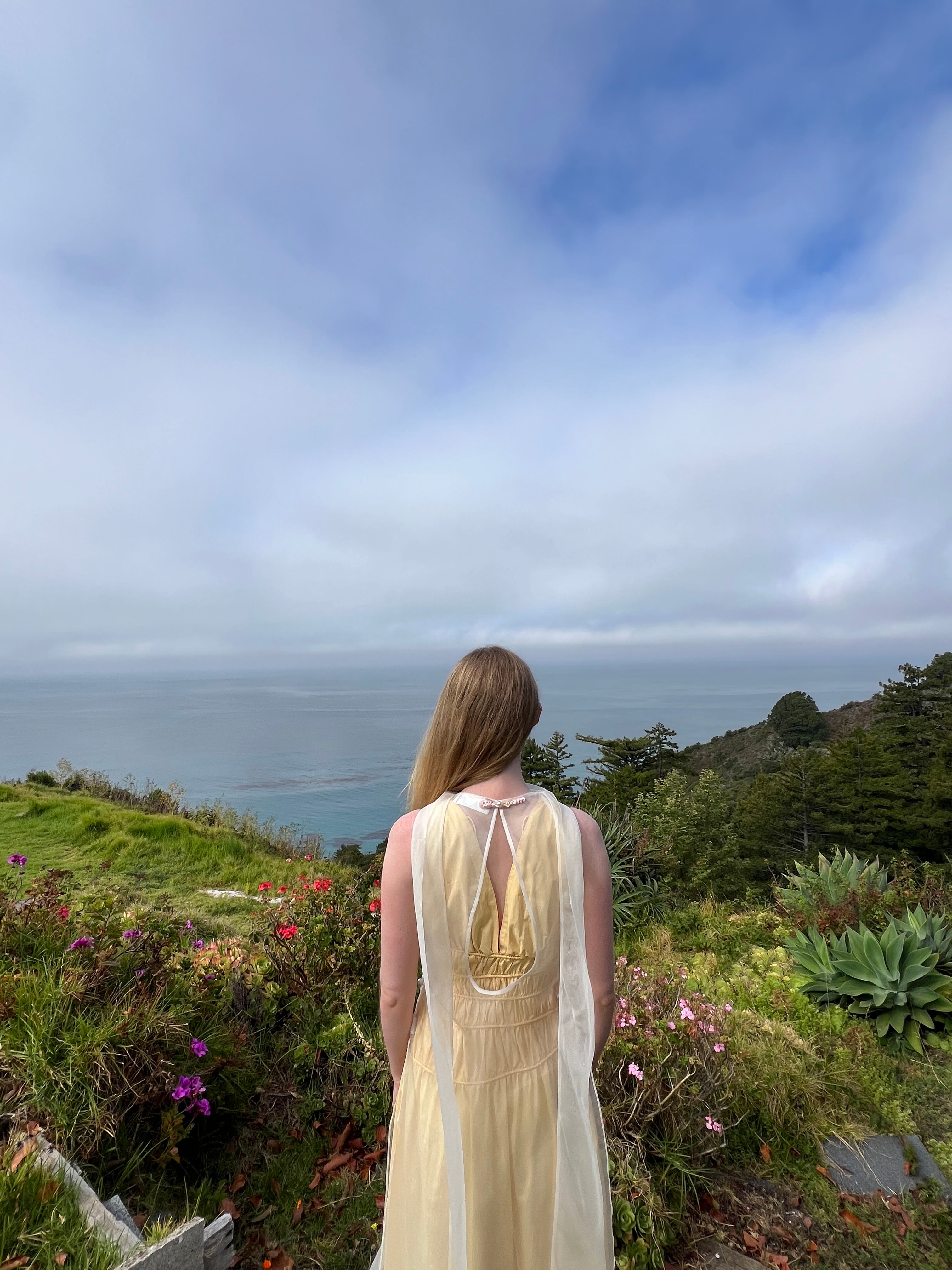 Afloat Silk Organza Dress