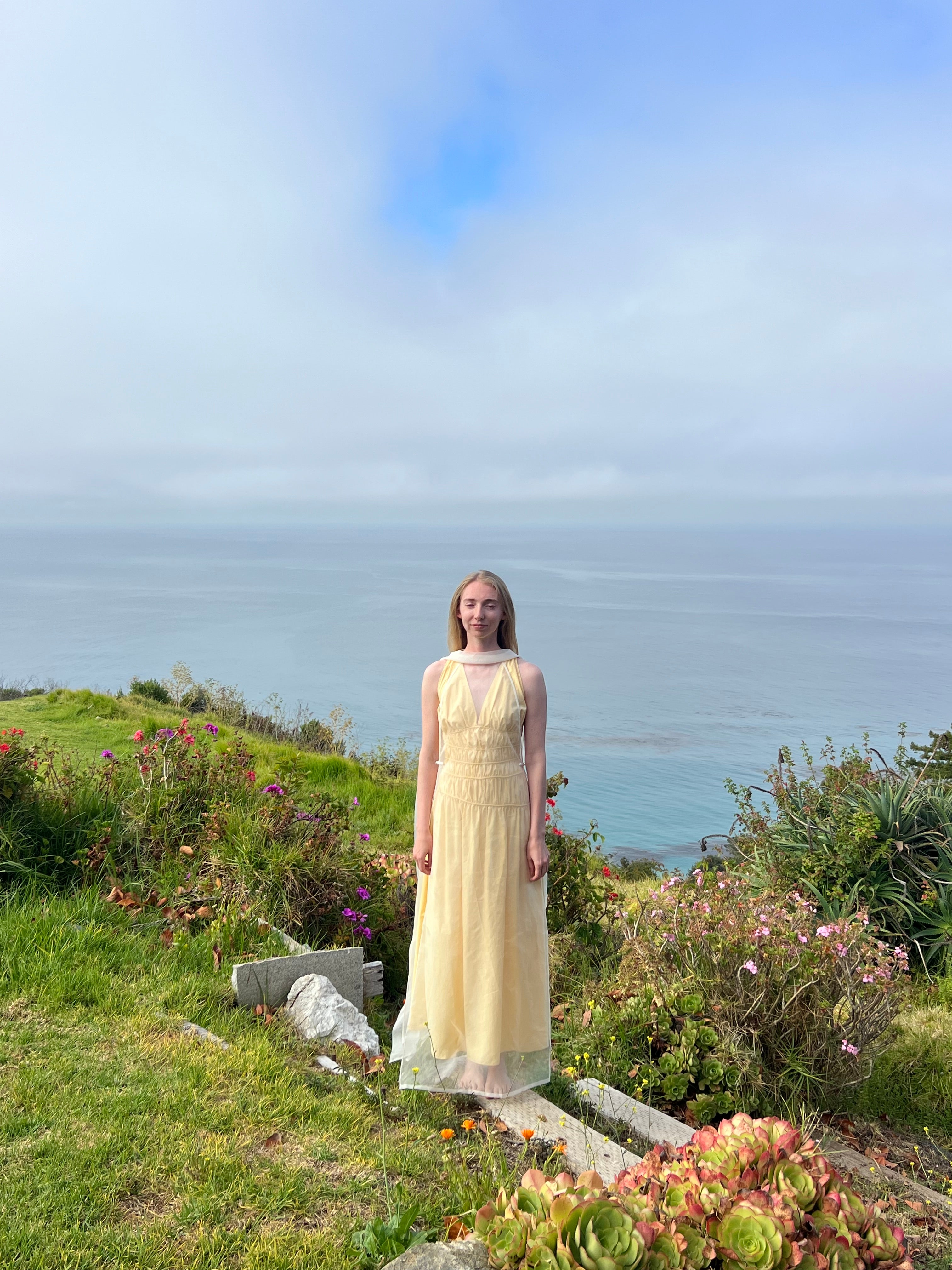 Afloat Silk Organza Dress