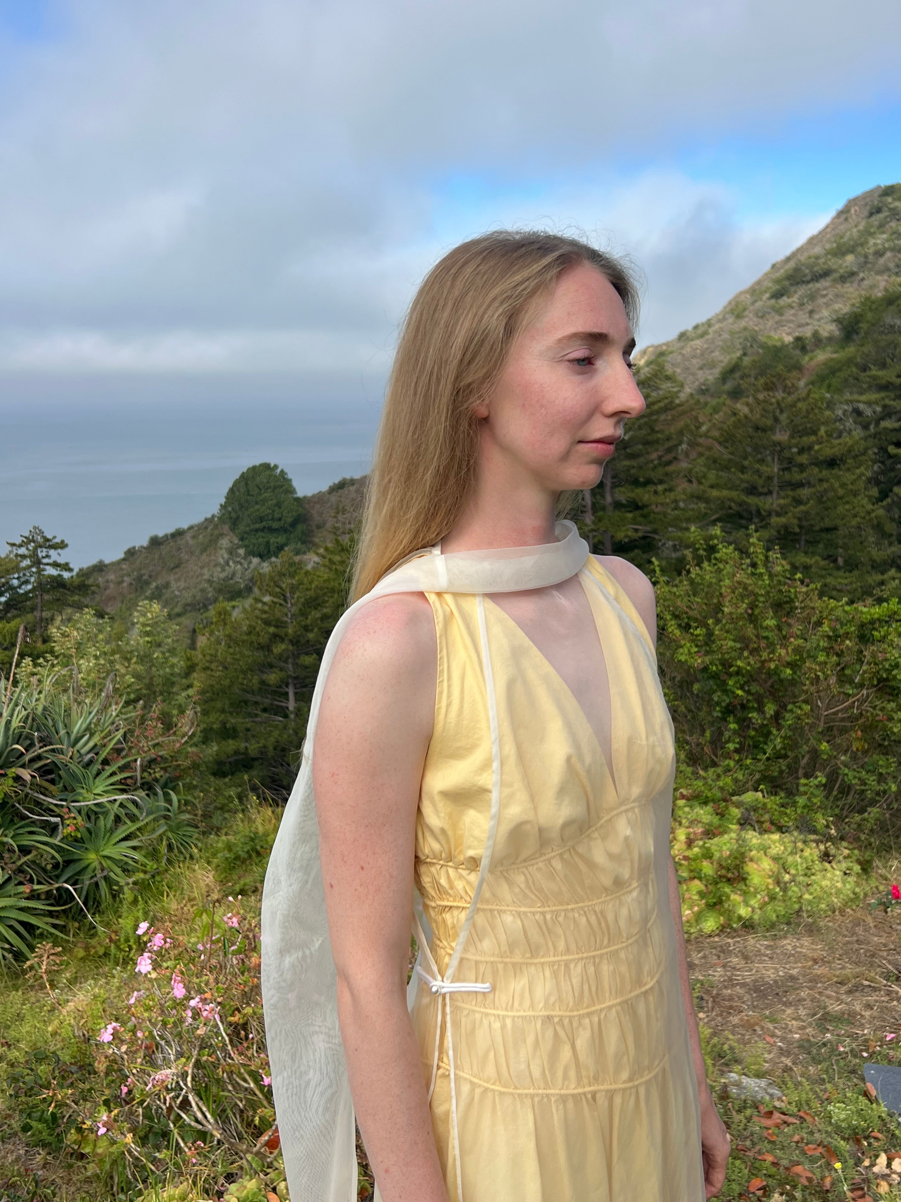 Afloat Silk Organza Dress